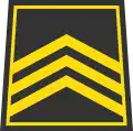 I darajali starshina(Uzbek River Force)