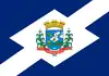 Flag of Santiago do Sul