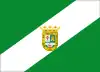Flag of El Real de la Jara, Spain