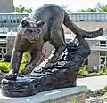 Catamount at Mount St Joseph
