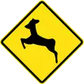 PO-6Wild animals