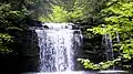 The main waterfall, about 1 mile (1.6&nbsp;km) along the trail.