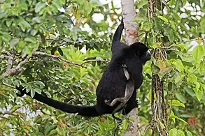 adult with infant