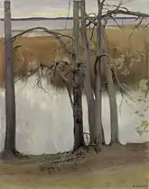 Lake Shore with Reeds, 1905 (fi)