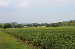 Field in Wolf Township
