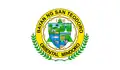 Flag of San Teodoro