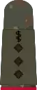 Stabsarzt i.G.