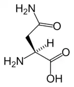 L-Asparagine(Asn&nbsp;/&nbsp;N)