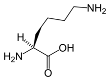 L-Lysine(Lys&nbsp;/&nbsp;K)