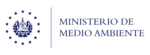 Minister of the Environment