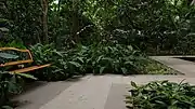 A winding paved pathway with a wooden bench inside the forest park.