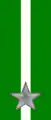 53rd, 54th Regiment "Umbria" ("Sforzesca")