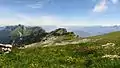 Montane meadows