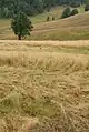 Place Kneževo Polje, Small Povlen