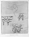 Raymond Duchamp-Villon, 1912, Croquis pour le Soleil