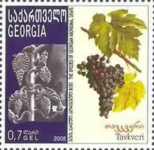 Stamp from Georgia depicting Tavkveri grapes