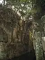 Sword Pond