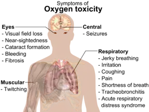 A diagram showing a male torso and listing symptoms of oxygen toxicity: Eyes&nbsp;– visual field loss, nearsightedness, cataract formation, bleeding, fibrosis; Head&nbsp;– seizures; Muscles&nbsp;– twitching; Respiratory system&nbsp;– jerky breathing, irritation, coughing, pain, shortness of breath, tracheobronchitis, acute respiratory distress syndrome.