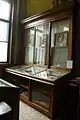 Cabinet 1 with salamander and tortoise holotypes
