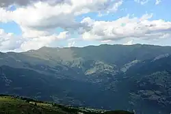 Vejce