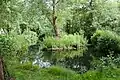 River Haven, contained in the village pond