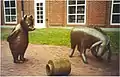 "Winnie the Pooh" and "Eeyore" sculptures at the Newton Free Library
